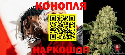 хмурый Бийск