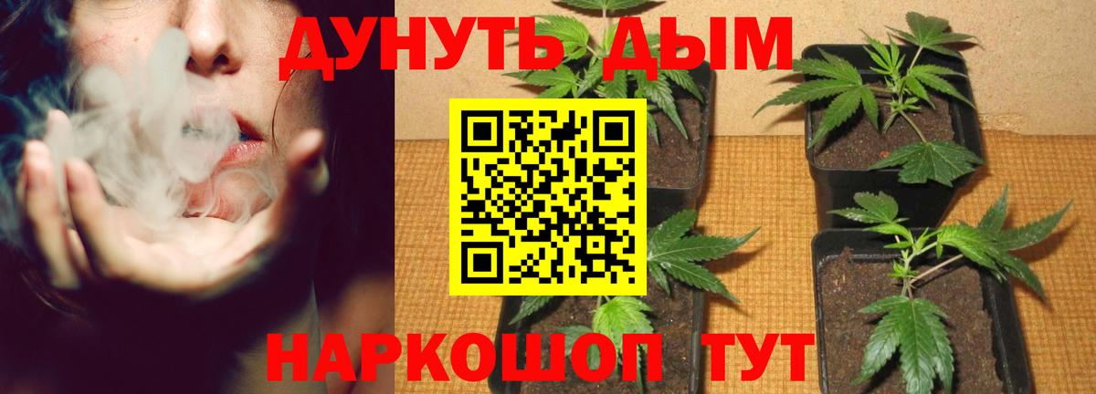 Канаш  Шишки марихуана конопля  Вход с VPN  Канабис ГИДРОПОН  Бошки марихуана конопля  МАРИХУАНА тримм 